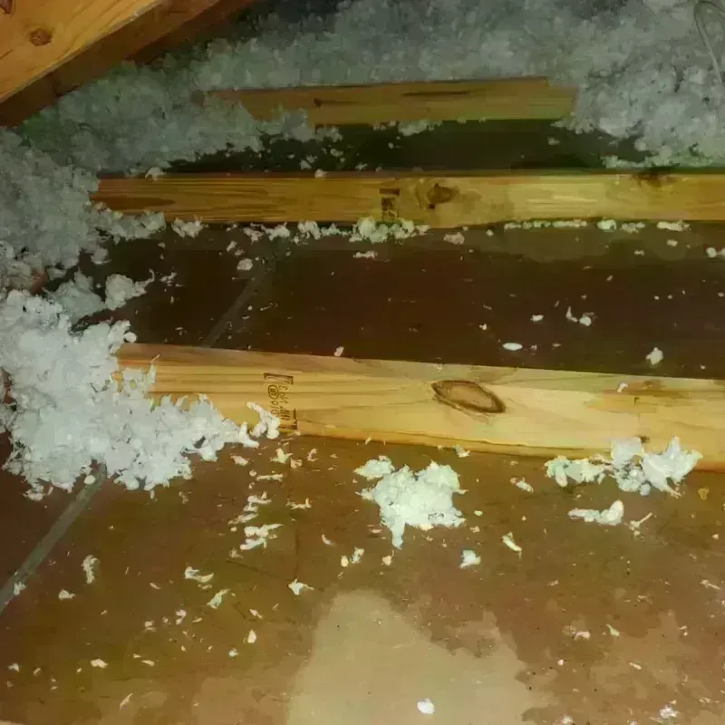 Attic Water Damage in Diamond, IL