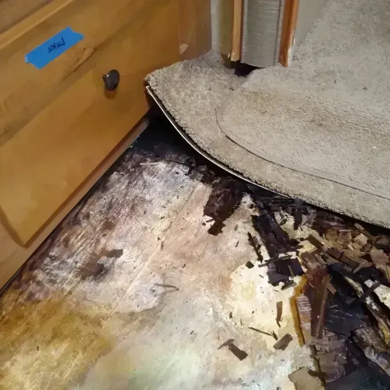 Wood Floor Water Damage in Diamond, IL